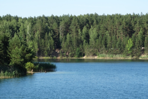 Голубые озера, Черниговщина